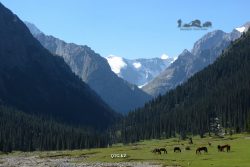 Chong-Kyzylsu (Kashkator's field). Terskey Alatau. Kyrgyzstan.