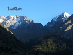 Gorge of Djuku 2600 m. Terskey Alatau. Kyrgyzstan.