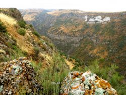 Aksu-Zhabagly State Nature Reserve is the first nature reserve in Kazakhstan.