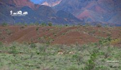 State National Nature Park «Altyn Emel» — Mountains of Aktau. Kazakhstan.