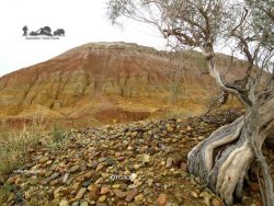 State National Nature Park «Altyn Emel» — Mountains of Aktau. Kazakhstan.