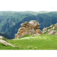 Plateau at an altitude of 3160 m. Jungar Alatau (Dzhetysu Alatau) Kazakhstan.