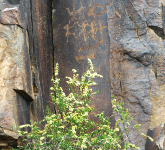 Petroglyphs of the Tamgaly. Epochs of the Bronze and Iron Ages. Mountains of Anrakay. Kazakhstan.